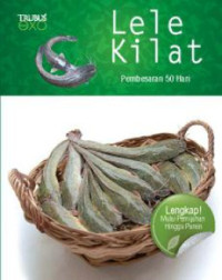 Image of Lele Kilat Pembesaran 50 Hari